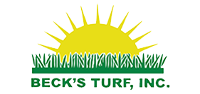 Beck's Turf