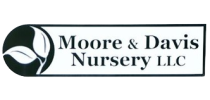 mooreDavis